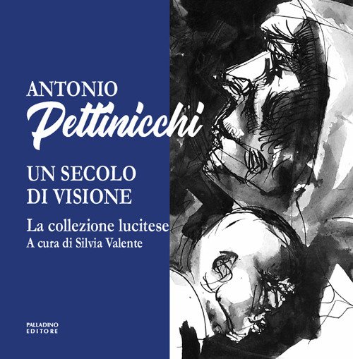 Antonio Pettinicchi un secolo di Vione. La collezione lucitese