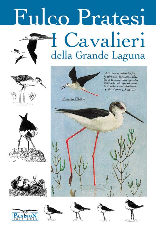 I cavalieri della grande laguna