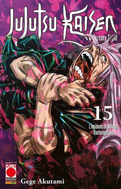 Jujutsu Kaisen. Sorcery Fight