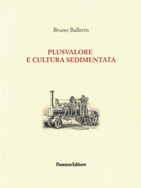 Plusvalore e cultura sedimentata