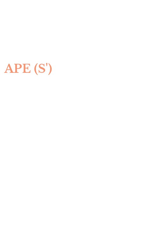 APE (S')