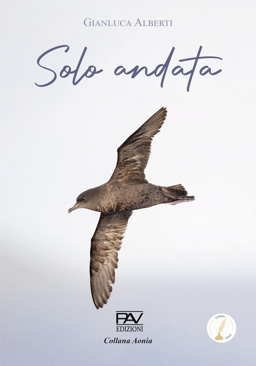 Solo andata