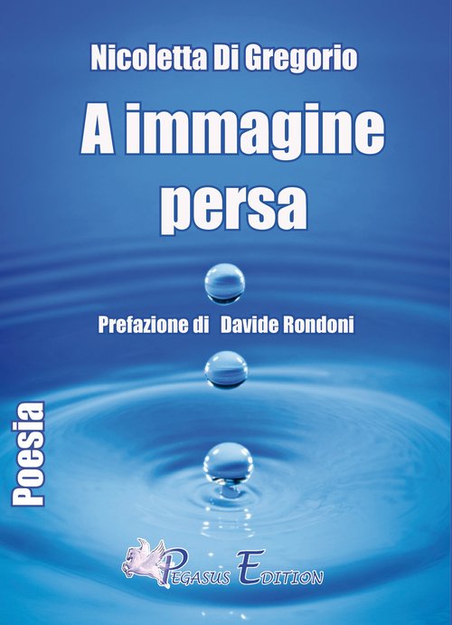 A immagine persa