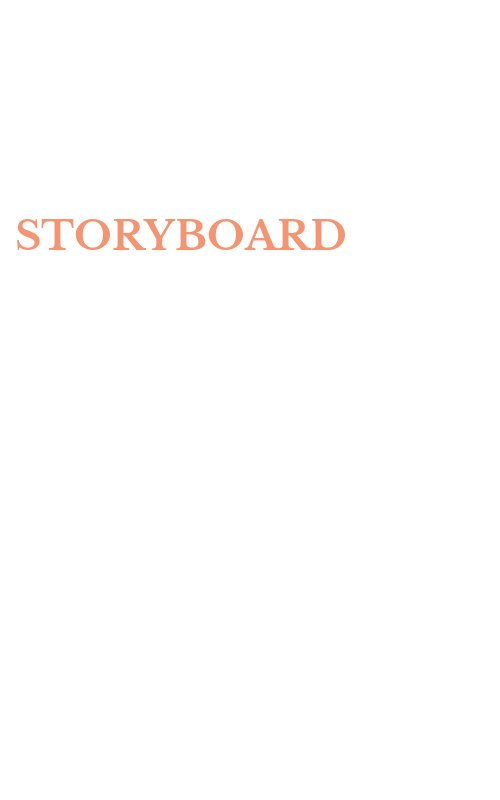 STORYBOARD