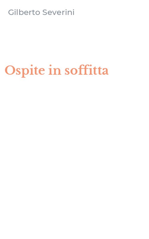 Ospite in soffitta