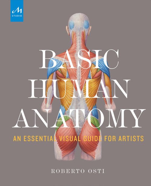Basic human anatomy. An essential visual guide for artists
