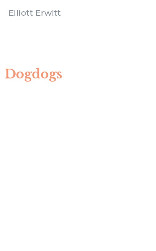 Dogdogs