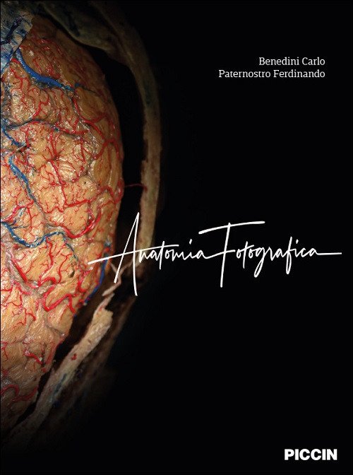 Anatomia fotografica