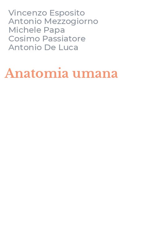 Anatomia umana