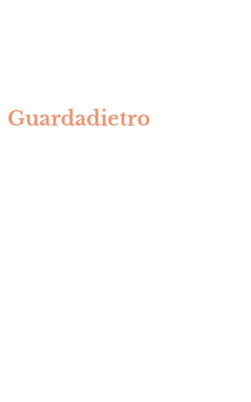 Guardadietro