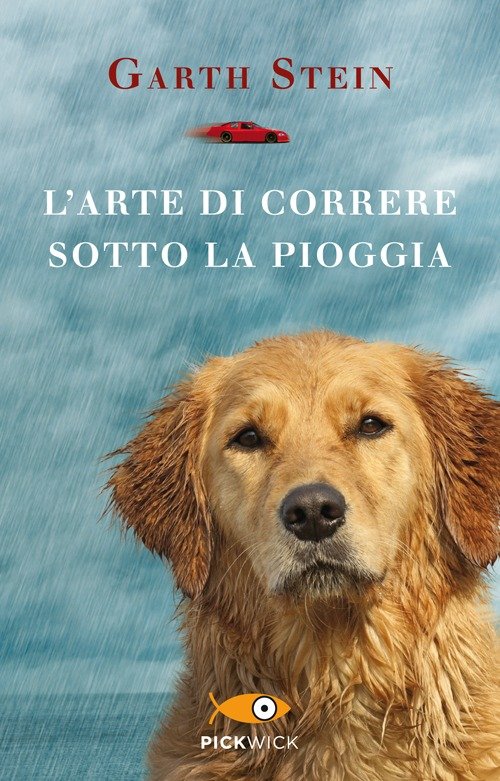 L'arte di correre sotto la pioggia