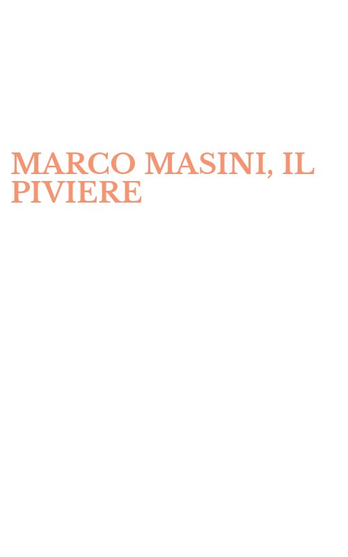 MARCO MASINI, IL PIVIERE