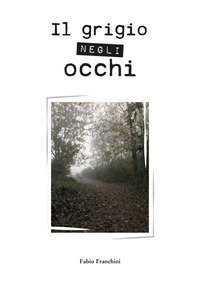 Il grigio negli occhi