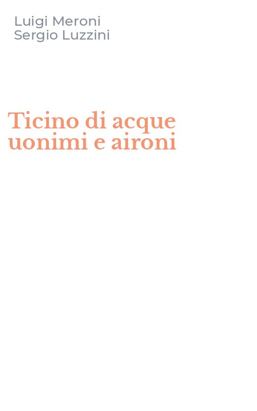 Ticino di acque uonimi e aironi