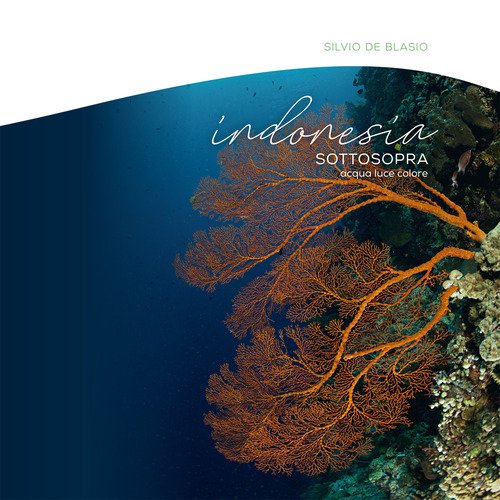 Indonesia sottosopra