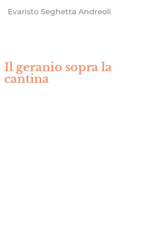 Il geranio sopra la cantina