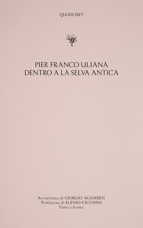 Dentro a la selva antica