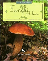 Funghi del bosco