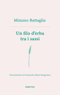 Un filo d'erba tra i sassi