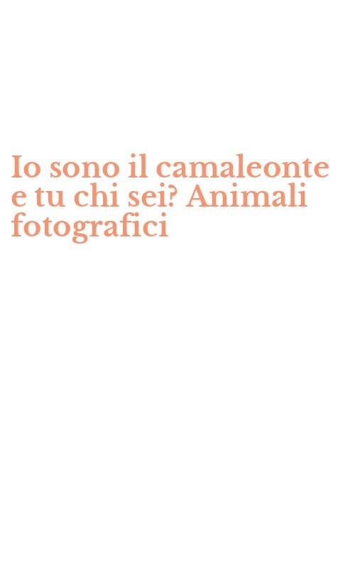Io sono il camaleonte e tu chi sei? Animali fotografici