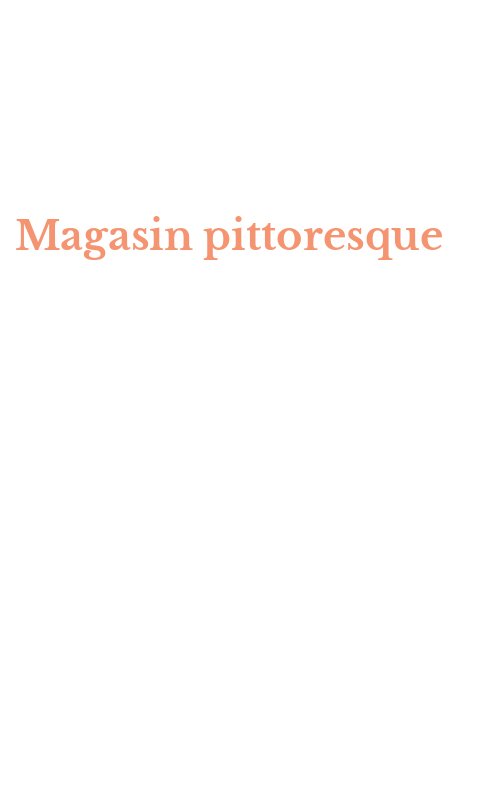 Magasin pittoresque