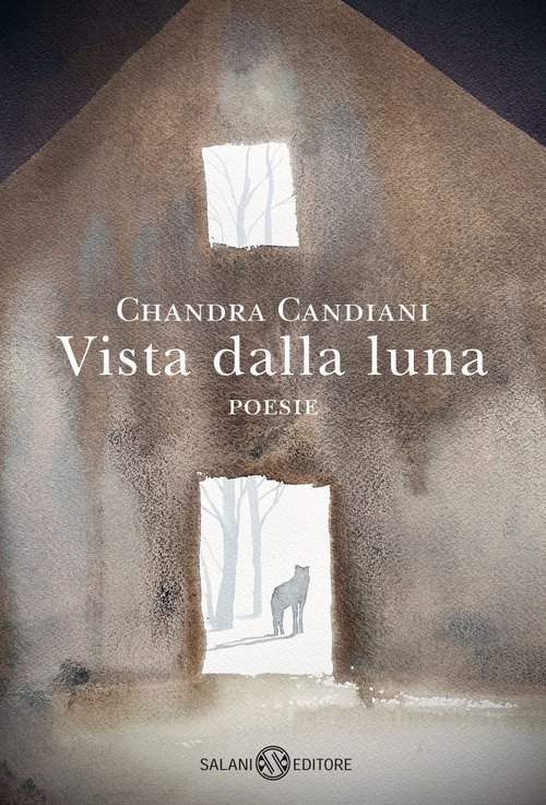 Vista dalla luna