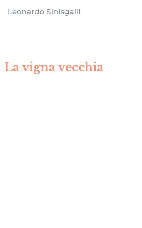 La vigna vecchia
