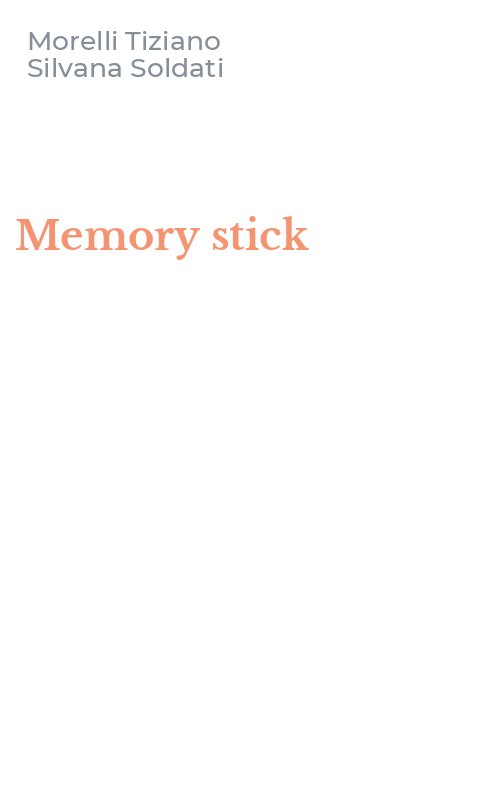 Memory stick