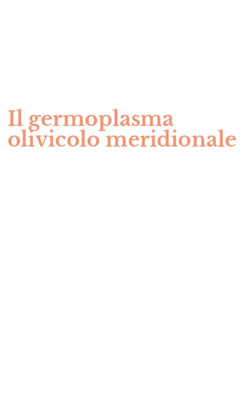 Il germoplasma olivicolo meridionale