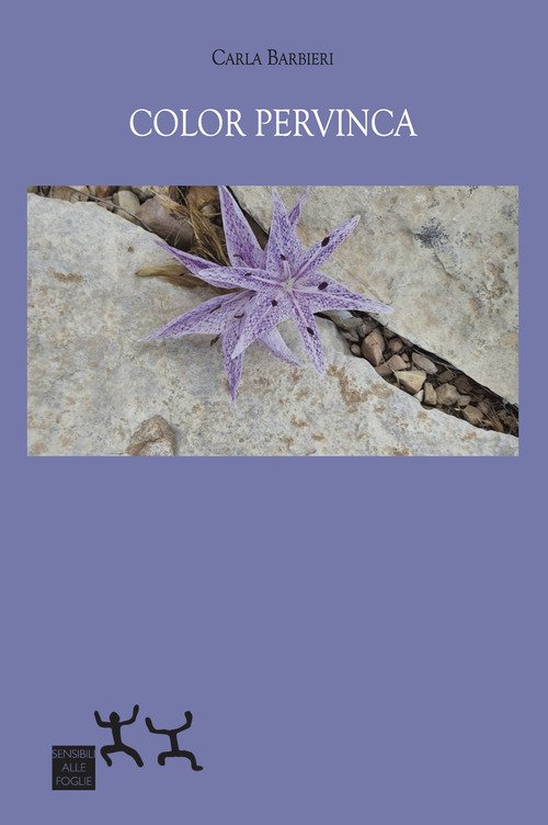 Color pervinca
