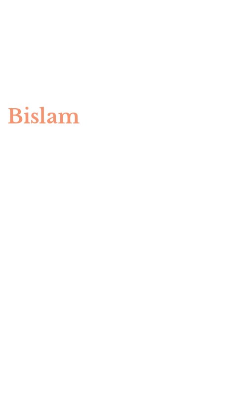 Bislam
