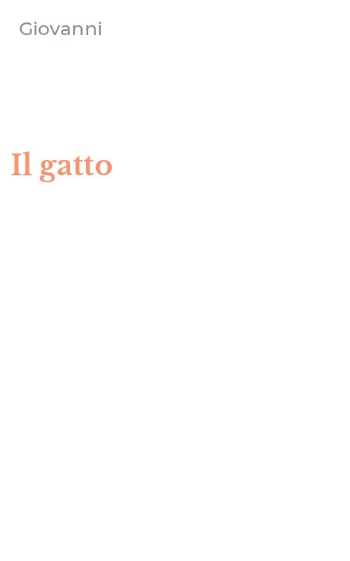 Il gatto