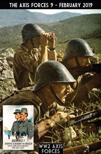 The Axis forces