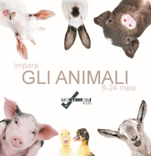 Impara gli animali