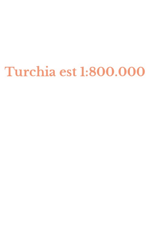 Turchia est 1:800.000