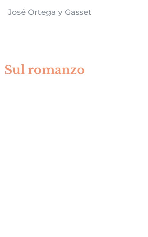 Sul romanzo