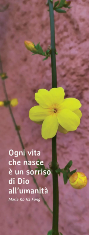OGNI VITA CHE NASCE E' UN... (CONF. 20 PZ.)