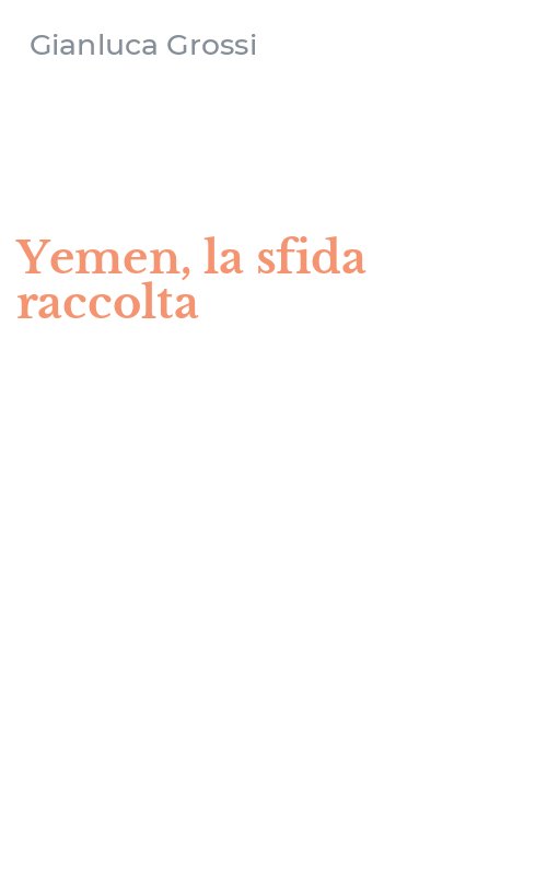 Yemen, la sfida raccolta