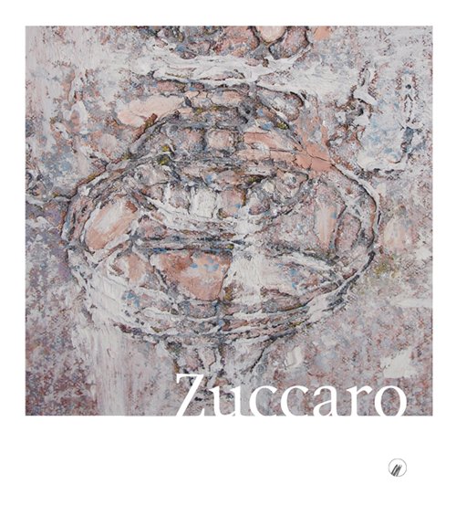 Piero Zuccaro. Flyby