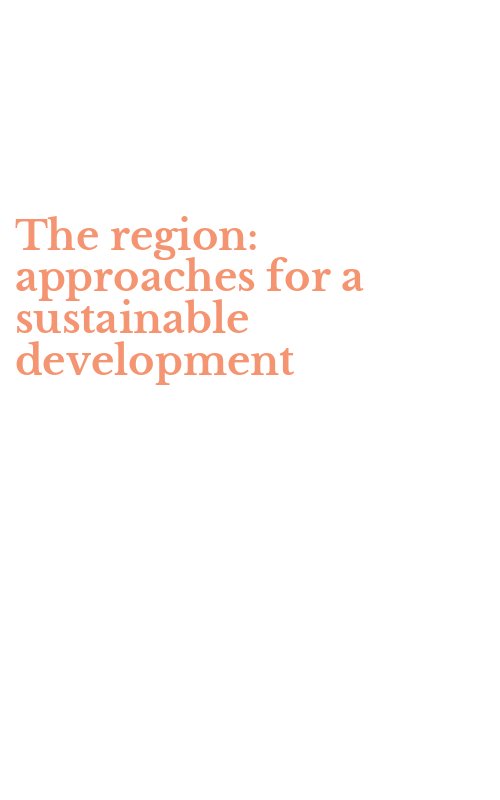 The region: approaches for a sustainable development