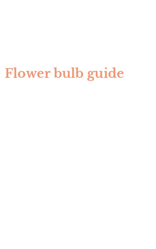 Flower bulb guide