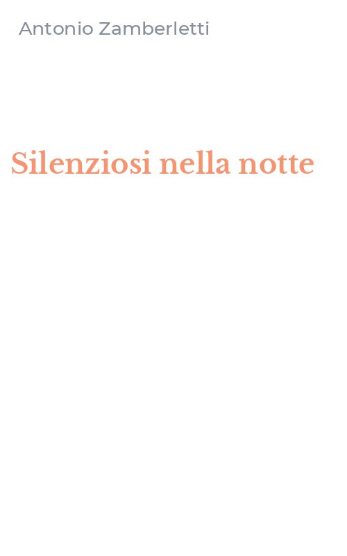 Silenziosi nella notte
