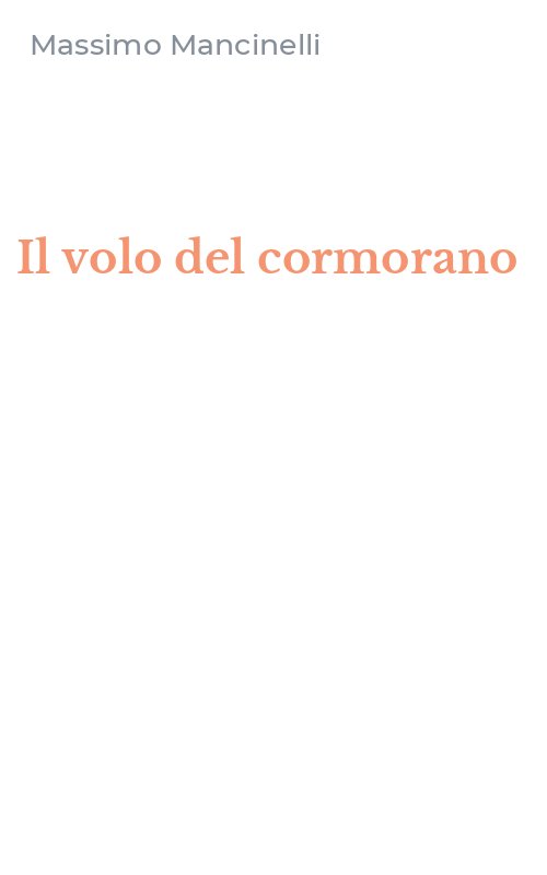 Il volo del cormorano