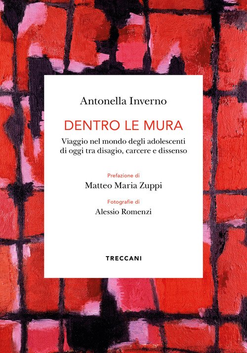 Dentro le mura. Viaggio intorno agli adolescenti di oggi tra disagio, carcere e dissenso