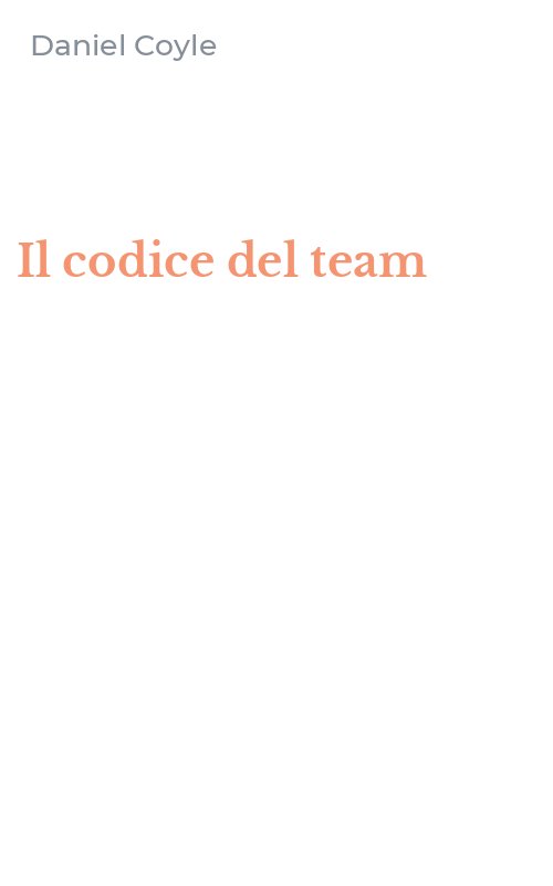 Il codice del team