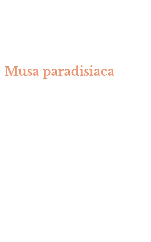Musa paradisiaca