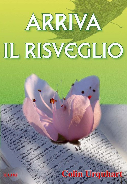 Arriva il risveglio