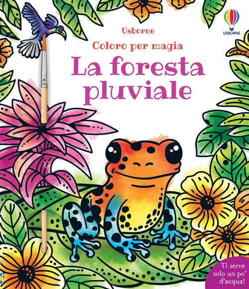 Foresta pluviale