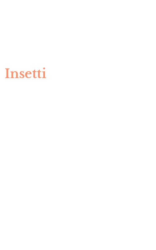Insetti