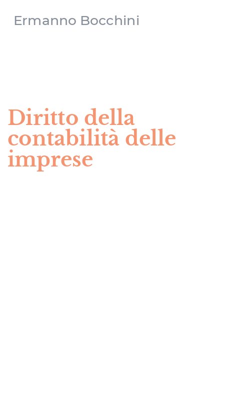 Diritto della contabilità delle imprese